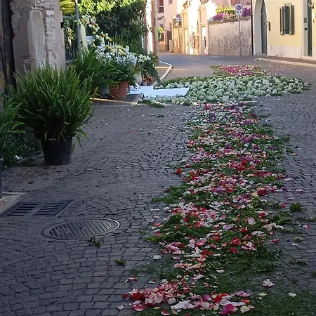 Raggio Di Sole 풀라